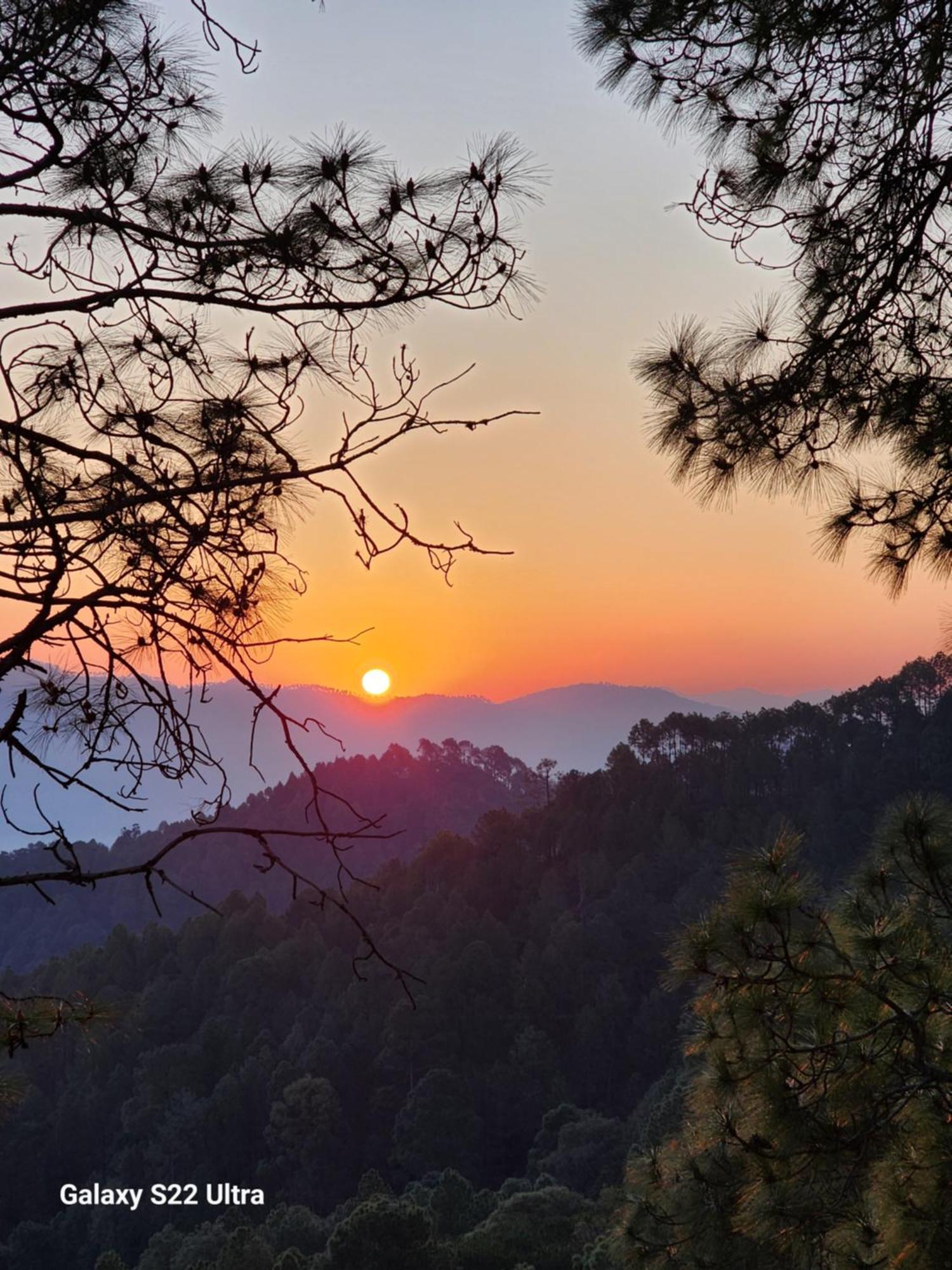 Nandini Cottage, A Premium Boutique Homestay Ranikhet Luaran gambar